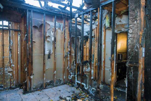 Professional Soot Cleanup technician working in Saint Michael, MN